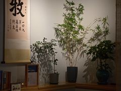 -十二舍·湯物素煮(江泰潤政店)