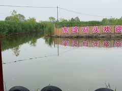 -白洋淀景区