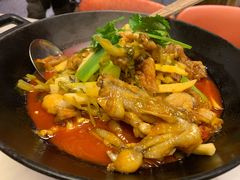 湘西霸王蛙-望湘园·湖南菜(宏伊店)