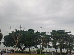 -深圳湾公园(南山区)