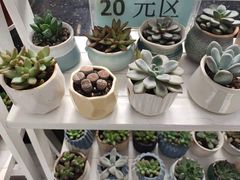 -常州花鸟园酒店(西太湖品牌优选店)