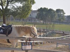 -花博汇(知音花月夜)
