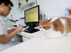 -宠颐生中康贝怡动物医院