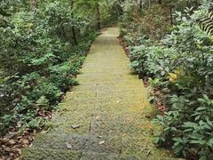-西湖风景区-江洋畈生态公园