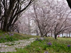 -苏州上方山国家森林公园