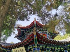 -汤阴县羑里周易博物馆