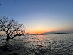 -宝安西湾红树林湿地公园