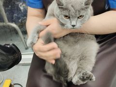 -宠福鑫康馨动物医院·骨科·眼科