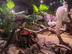 -正佳雨林生态植物园