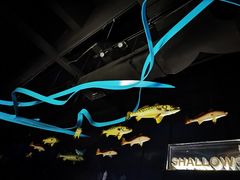 -同济大学四平路校区深海探索馆