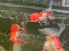 -北京湖广会馆