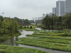 -洋湖国家湿地公园