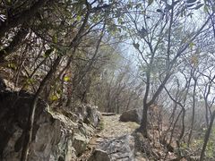 -穹窿山景区