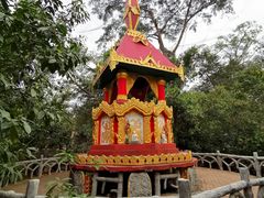 -瑞丽独树成林风景区