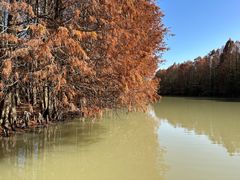 -上海海湾国家森林公园