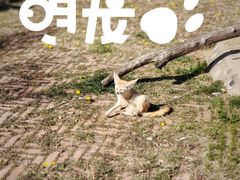 -齐齐哈尔龙沙动植物园