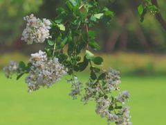 -徐家汇源景区-衡山公园