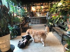 -自由生长植物工作室(深港花卉中心店)