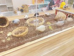 -东方之珠洗浴休闲广场(南开店)