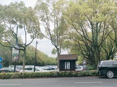 -乌镇景区