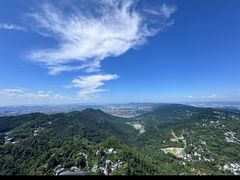 -大金鹰园