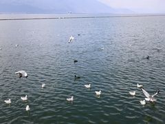 -小普陀