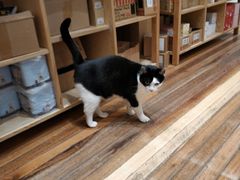 -猫的天空之城概念书店(杭州南宋御街店)