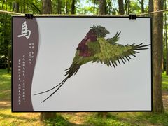 -杭州植物园