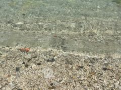 -三亚西岛海洋文化旅游区