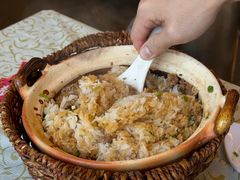 -百利鸽王(紫薇路店)