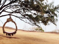 -漳州滨海火山岛自然生态风景区