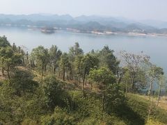 -千岛湖忆湖度假酒店(中心湖景区店)