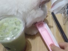 -藏猫猫咖啡主题馆(中央大道店)