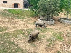 -大连森林动物园