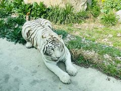 -西安秦岭野生动物园
