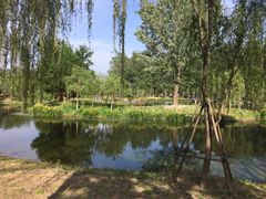 -东郊湿地公园