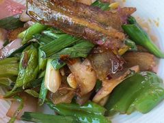 -靓蛙馆