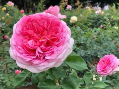 -人民公园(罗湖区)