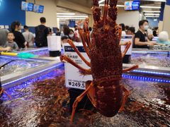 澳洲龙虾-盒马X会员店(上海森兰商都店)