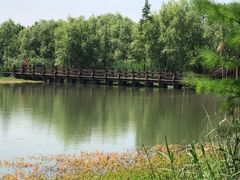 -长兴太湖图影湿地文化园