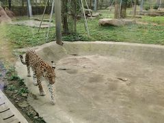 -上方山森林动物世界