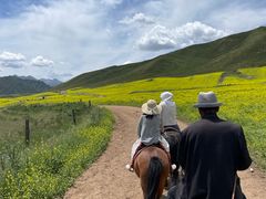 -扁都口生态休闲旅游区
