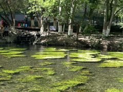 -水磨沟公园