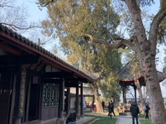 -子昂故里文化旅游区
