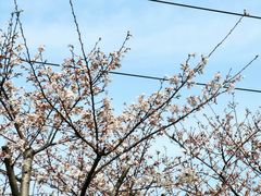 -西北湖绿化广场