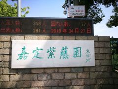 -嘉定紫藤园
