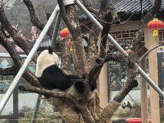 -无锡动物园·太湖欢乐园