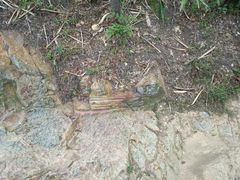 -羚羊峡古栈道森林公园