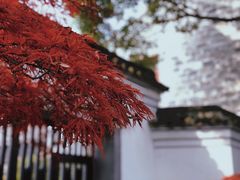 -慈城古县城景区