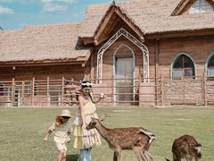 -郑州银基国际旅游度假区
